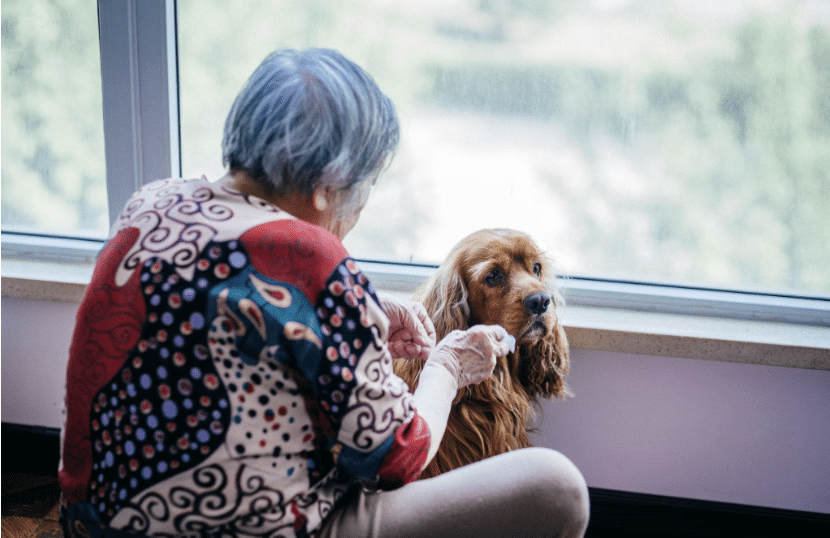 Finding Peace: How Caring for a Senior Pet Transforms You 