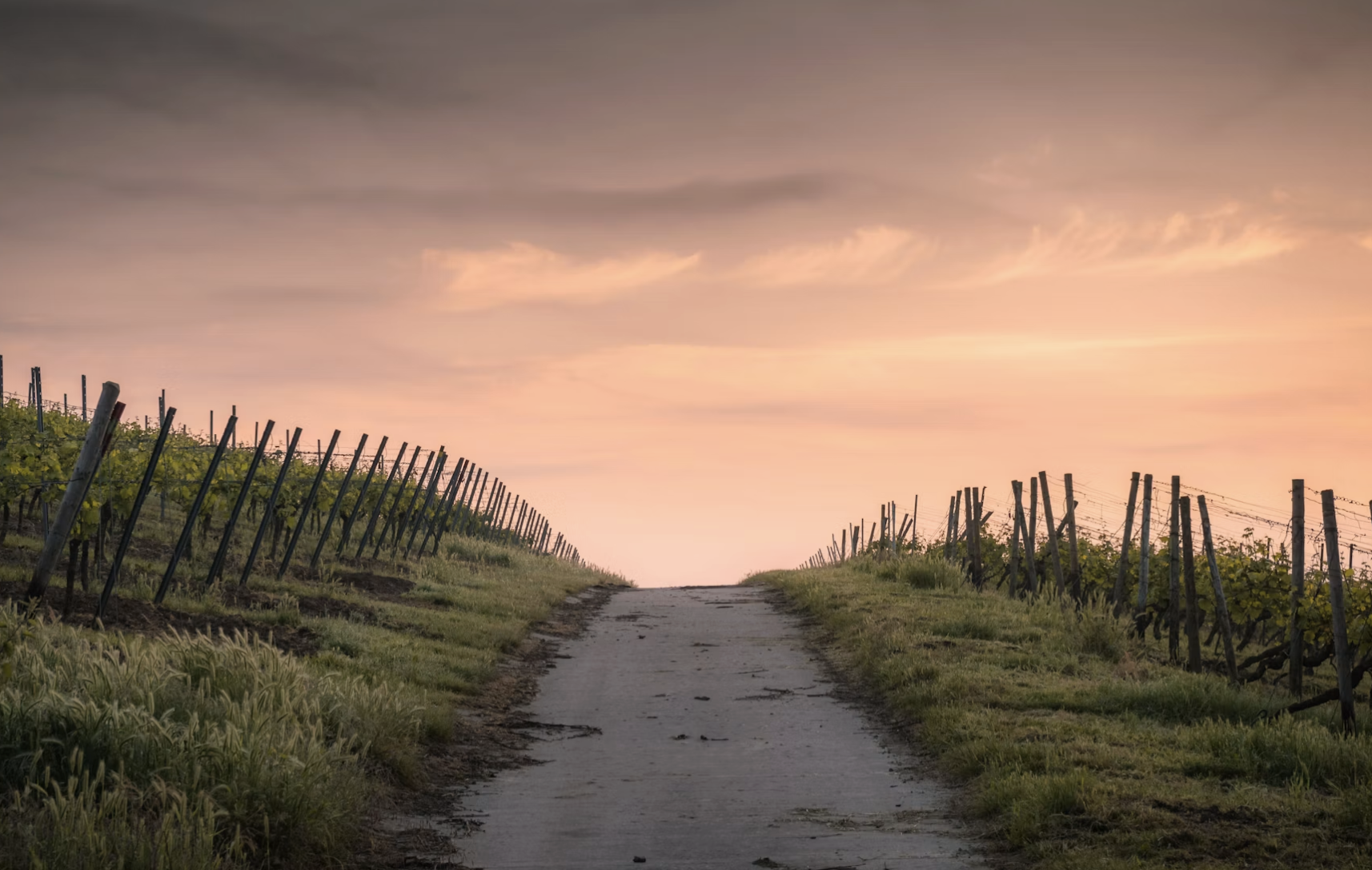 Turning Crisis into Clarity: Strategic Legal Steps to Protect Your Rights and Future