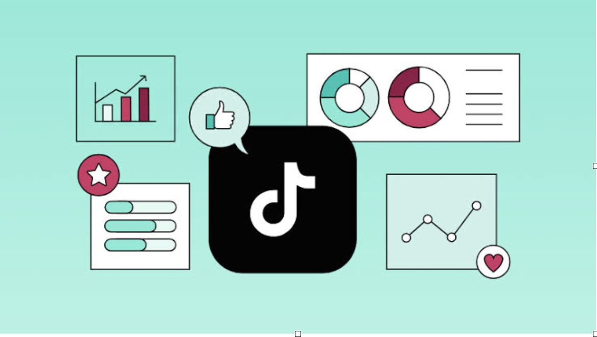 Winning TikTok Analytics: Decoding Metrics That Drive Follower Growth
