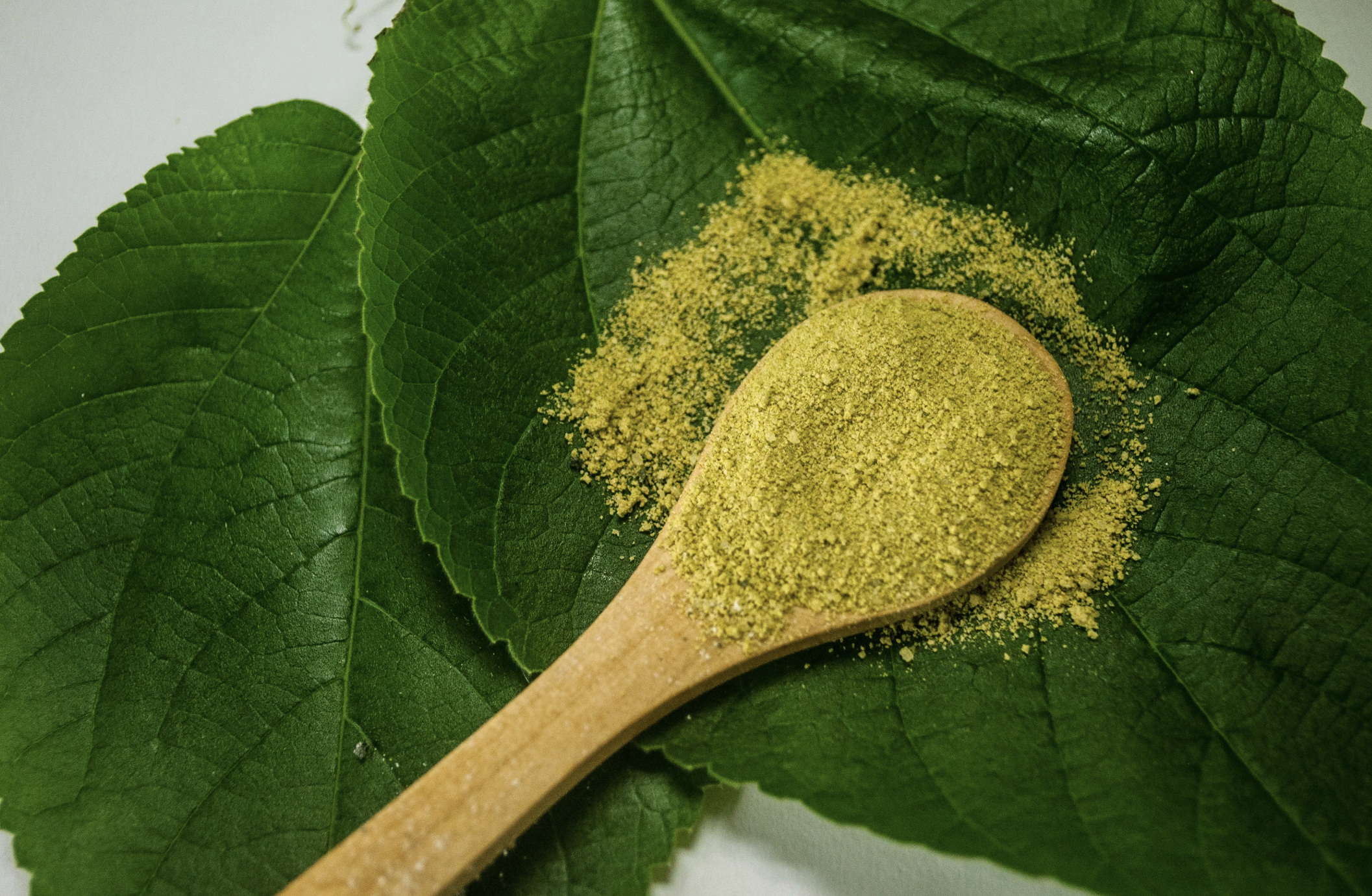 Kratom Canada: Where to Buy and What to Know Before You Order